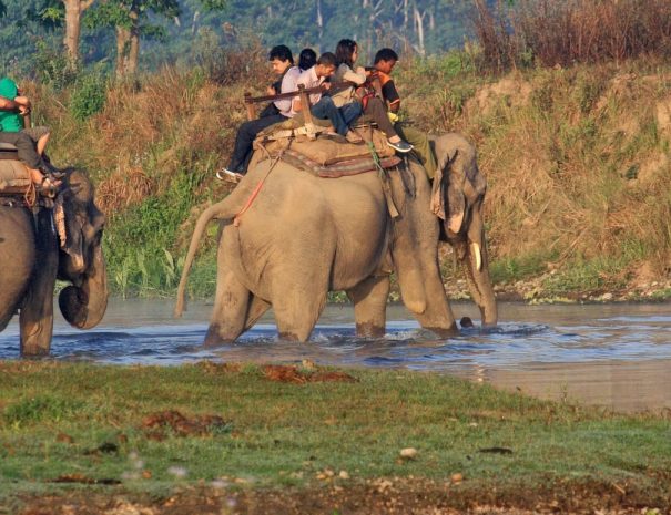 Jungle_Safari_Chitwan.JPG